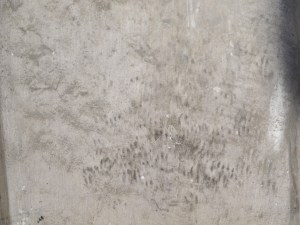 Located in a cell on Corridor 1 of the Middle Floor.