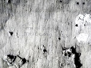 Pencil over whitewash located in a cell on Corridor 1 of the Top Floor. 